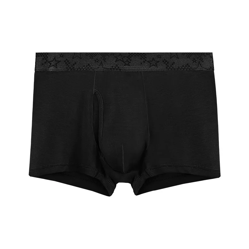 Boxer pour Homme, Sous-Vêtement en Modal, Culotte Solide, Respirant, Mathiation des Balles, Poudres de Pénis, JJ