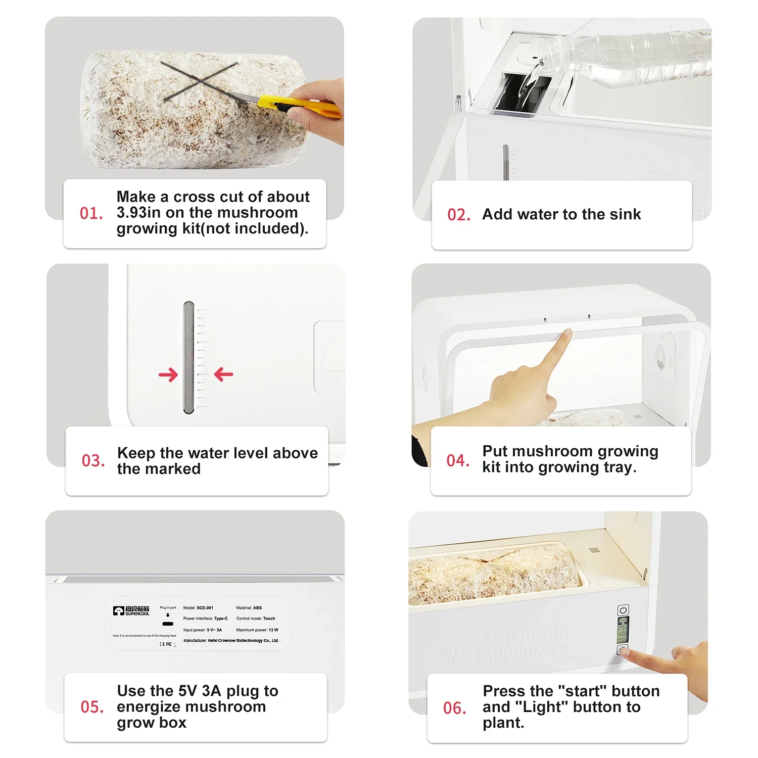 Kit de setas mágicas Control de sincronización Kit de cultivo de setas mágicas