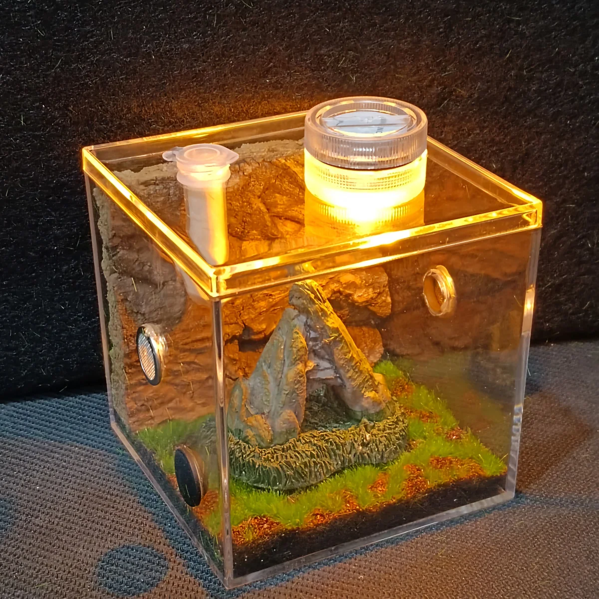 Cricket Habitat Box Transparent Acrylic Insect Cage with LED Light Humidifier Mini Ecosystem for Katydid Cricket Mantis Breeding