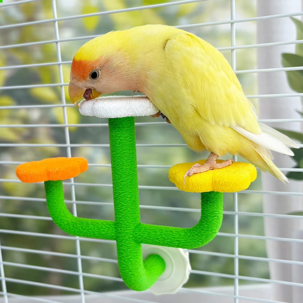 Juguete soporte cactus desmontable para loros, periquitos y cacatúas - imagen 5