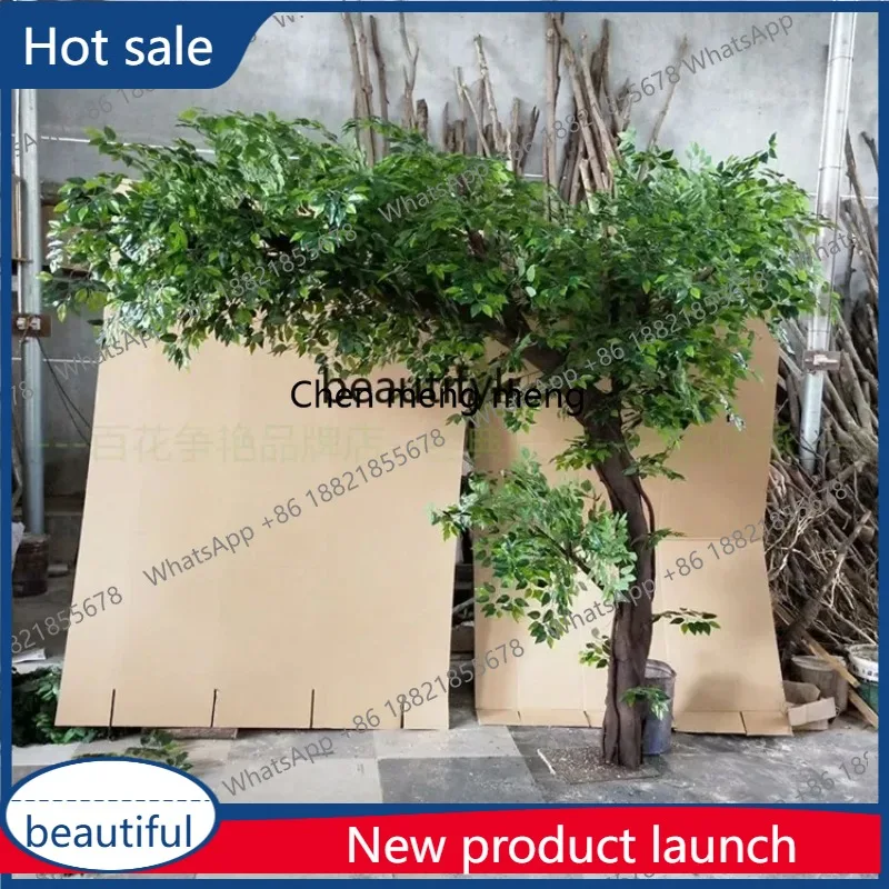 A485 Lt Large Custo…