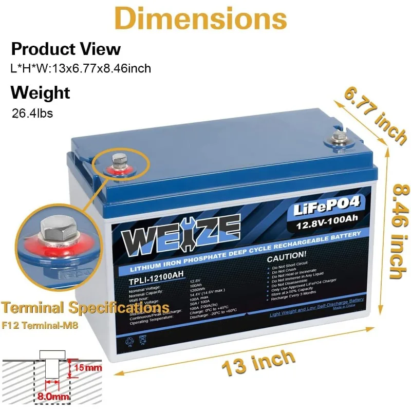 WEIZE 12V 100Ah LiFePO4 Battery Group 31 Lithium Battery, Built-in 100A BMS, Low Temperature Protection Deep Cycle Battery