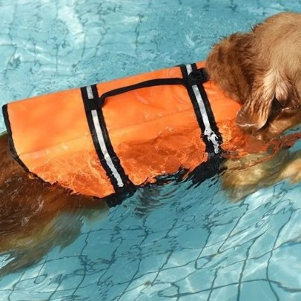 

Reflective Dog Life Vest High Buoyancy Adjustable Puppy Swimwear Waterproof Rescue Handle Safety Swimming Suit