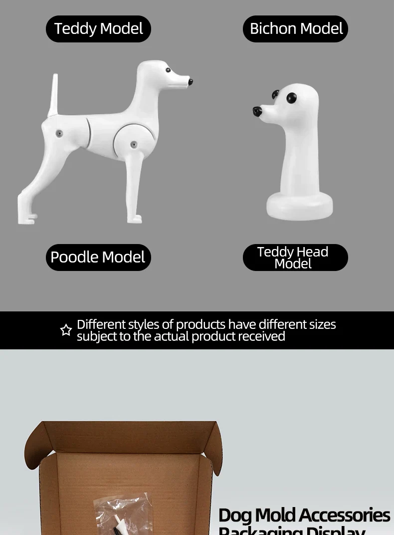 Tierpflege-Simulationsmodell: Realistischer Pudel-Ganzkörperskelett-Modellhund für professionelle Tierpflegepraxis – Detail 6