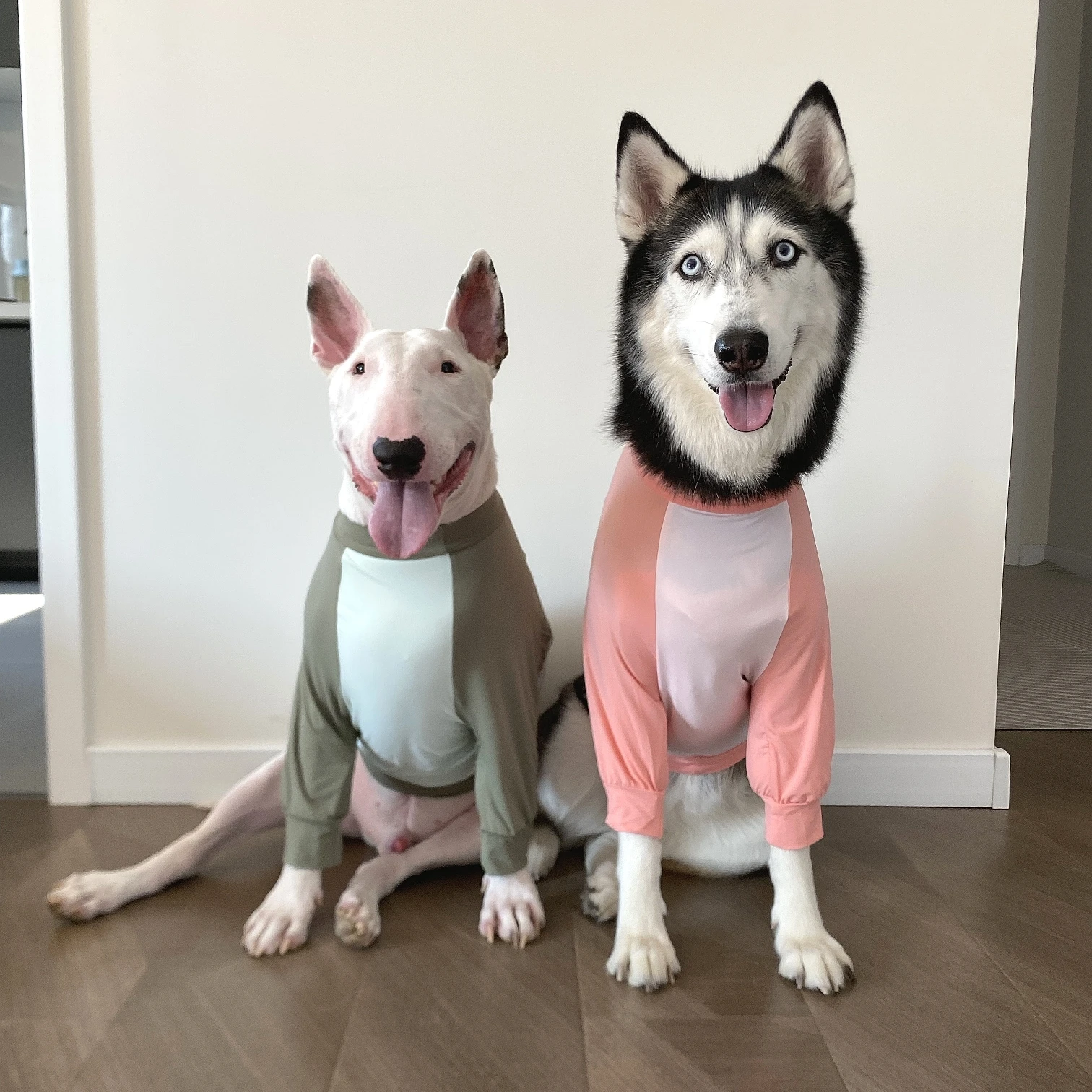 

Big Dog Elbow Protector Jumpsuit Spring Summer Sun-proof Dog Cool Clothes for Schnauzer Corgi Husky Labrador Golden Retriever