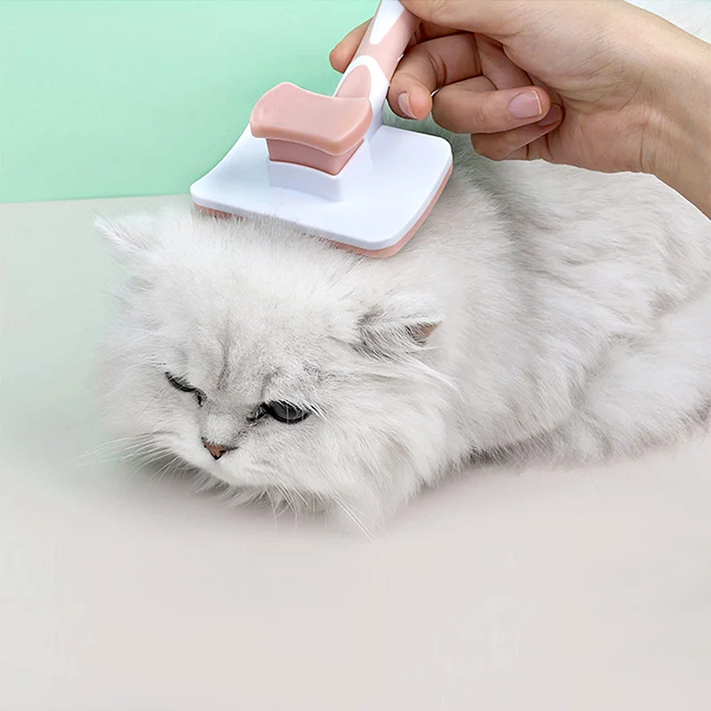 Brosse de toilettage en acier inoxydable pour animaux de compagnie, peigne pour chat et chien, épilation, livres, beauté, soins de la peau, fournitures