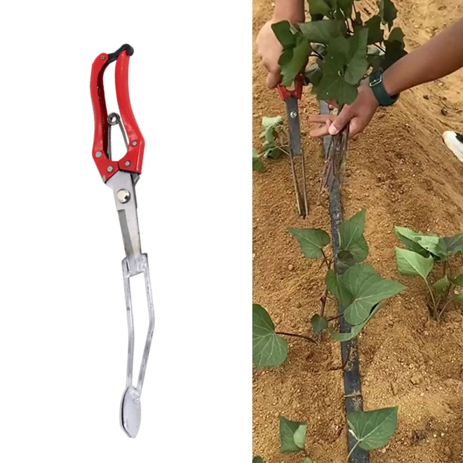 

Sweet Potato Seedling Planter Clip Versatile for Farm Use 14.2inch Handheld