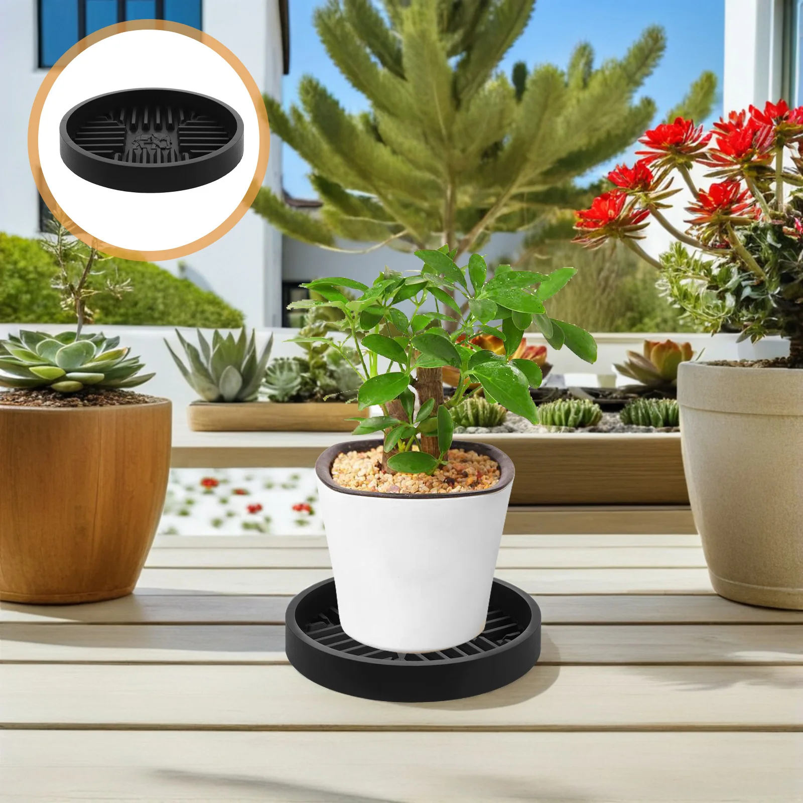 

10pcs Drain Trays For Plants: Round Flowerpot Saucer Thickened Durable Base Indoor Outdoor Use Design Plant