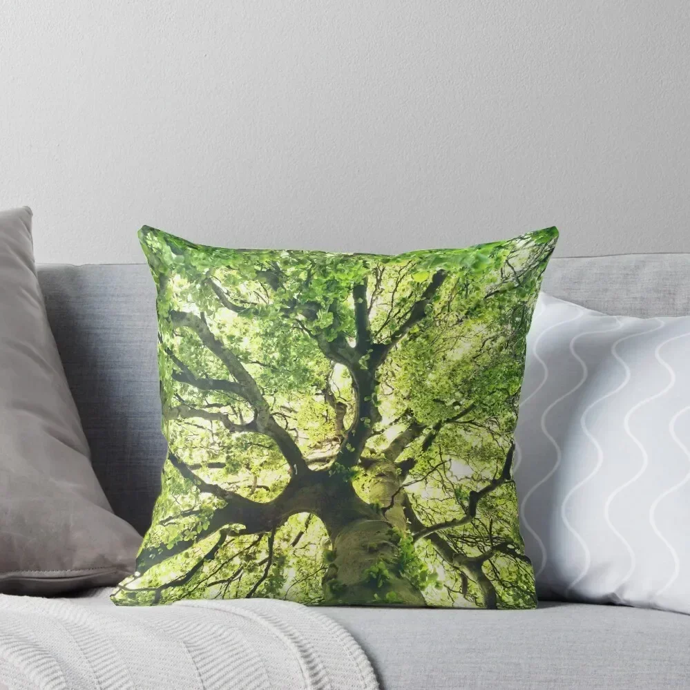

Under Your Skin // Summer In A Wilderness Fairytale Forest With A Tree Covered In Magic Sunlight Series Throw Pillow
