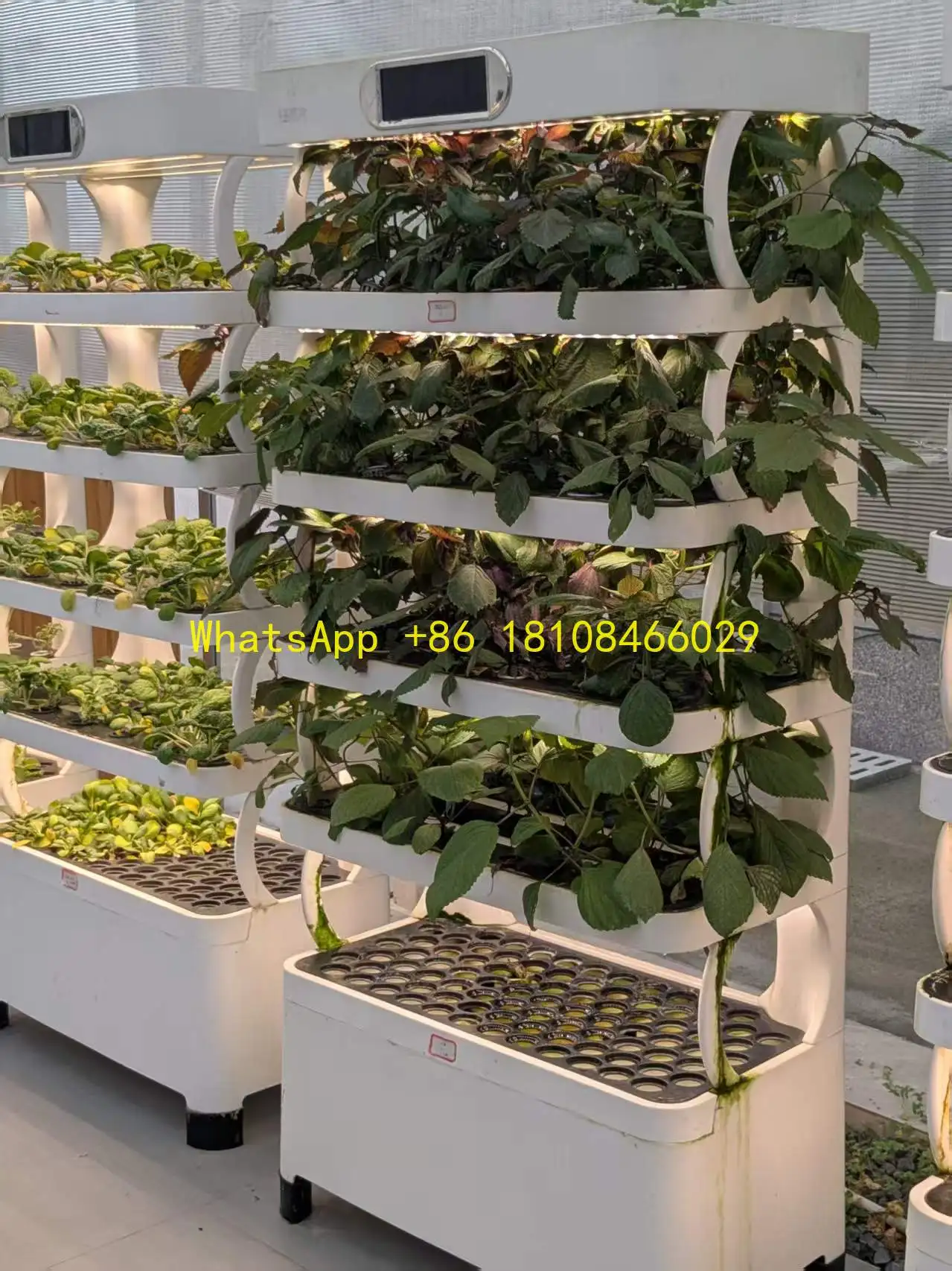 

ew Intelligent Fruit & Vegetable Growth System Smart Vertical Hydroponic Indoor Home Garden- N