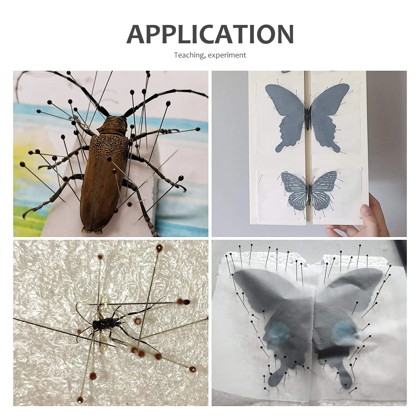 

100 pcs Specimen Pin Stainless Steel Insect Entomology Lab Tool For Science Education Biology Collection Dissection Needle