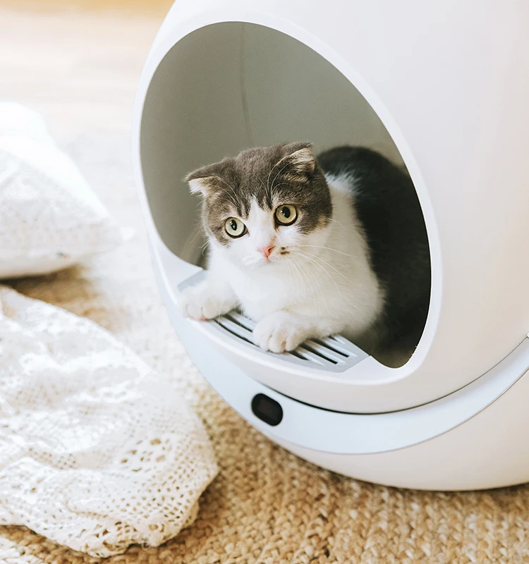 Automatic Self Cleaning Cats Sandbox Smart Litter Box Closed Tray Toilet Rotary Training Detachable Bedpan Pets Accessories Mat