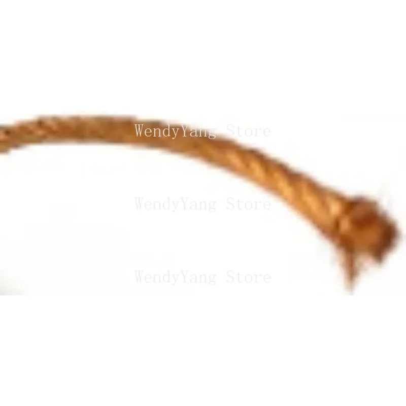 Single Carbon Brush for Dual Engine Brake Pump Accumulator  Electronic Brake Assist Brake Pump