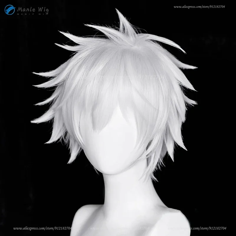 Type 2 /Silver White Zoldyck Cosplay Wig 30cm Short Killua Zaoldyeck Anime Cos Wigs Heat Resistant Synthetic Hair