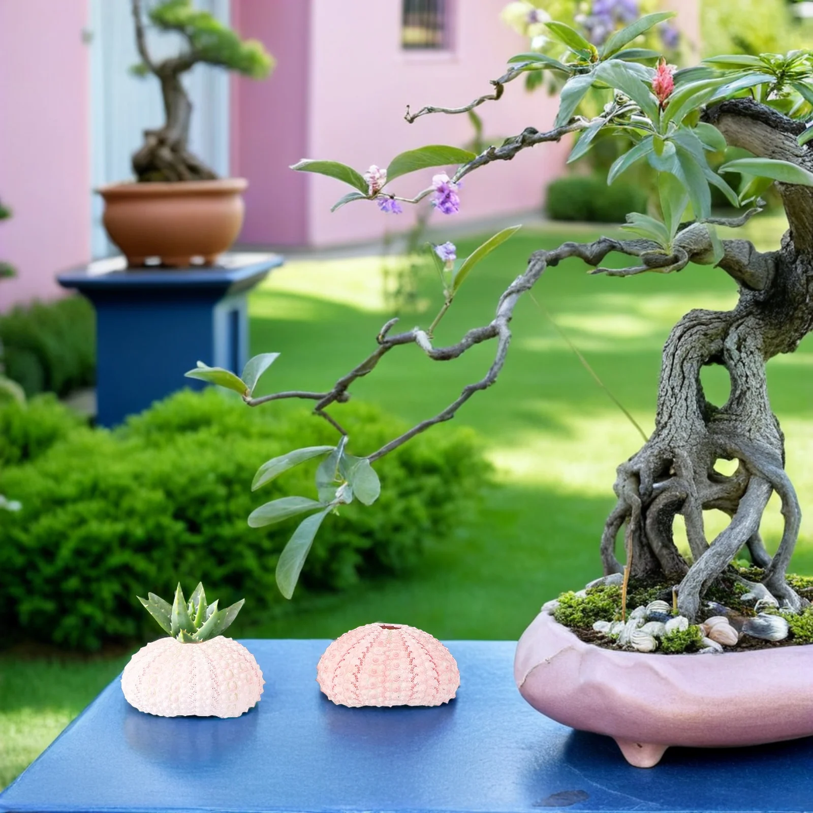 

6Pcs Creative Conch Shell Pot Lovely Plant Holder Elegant Desk Window Sill Decoration Sea Urchin Air Plants Holders