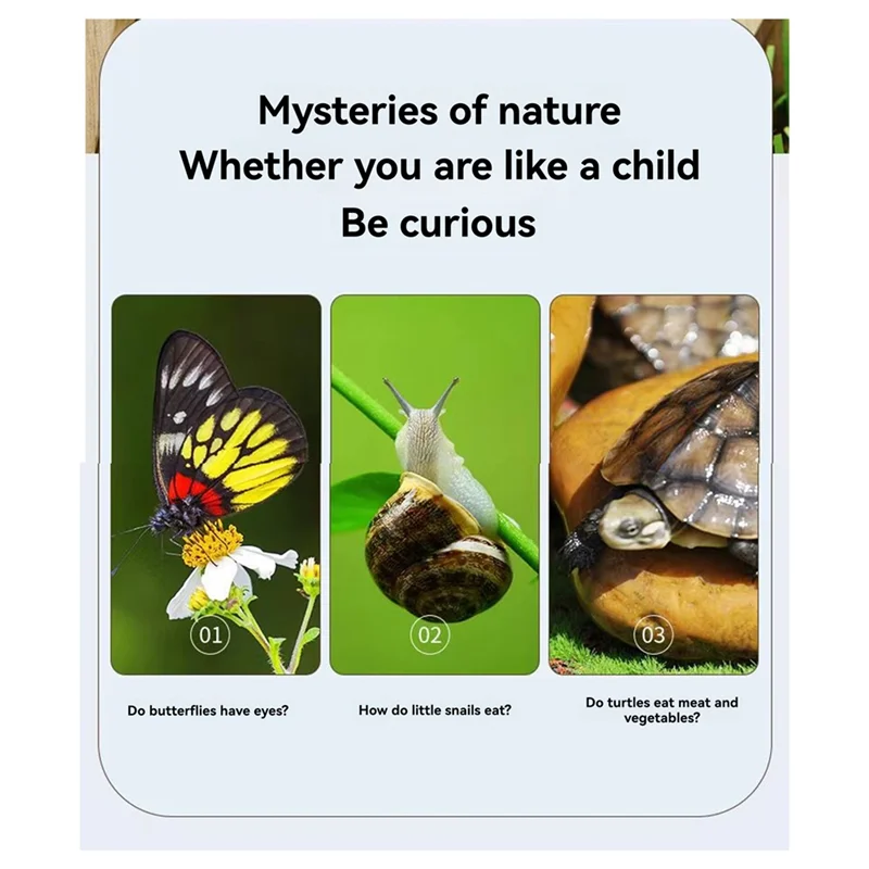 

ABMH-New Bug Viewer Outdoor Insect Box Magnifier Observer Kit Insect Catcher Cage Kids Science Nature Exploration Tools