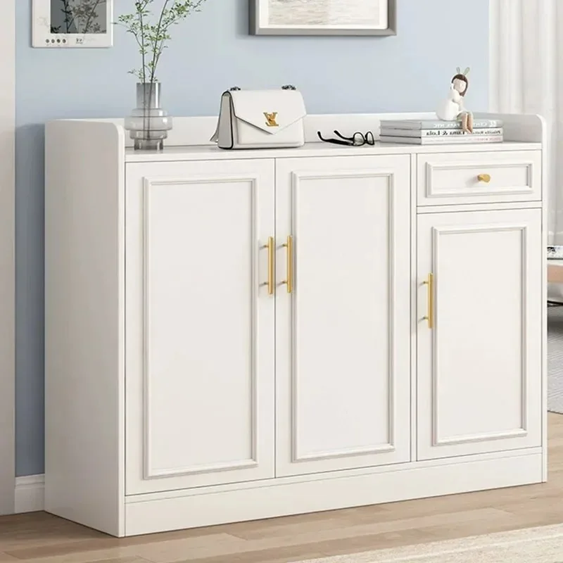 

Vintage Hallway Shoe Cabinets Double Door Simple Waterproof Storage Shoe Cabinets Minimalist Storage Muebles Home Decoration