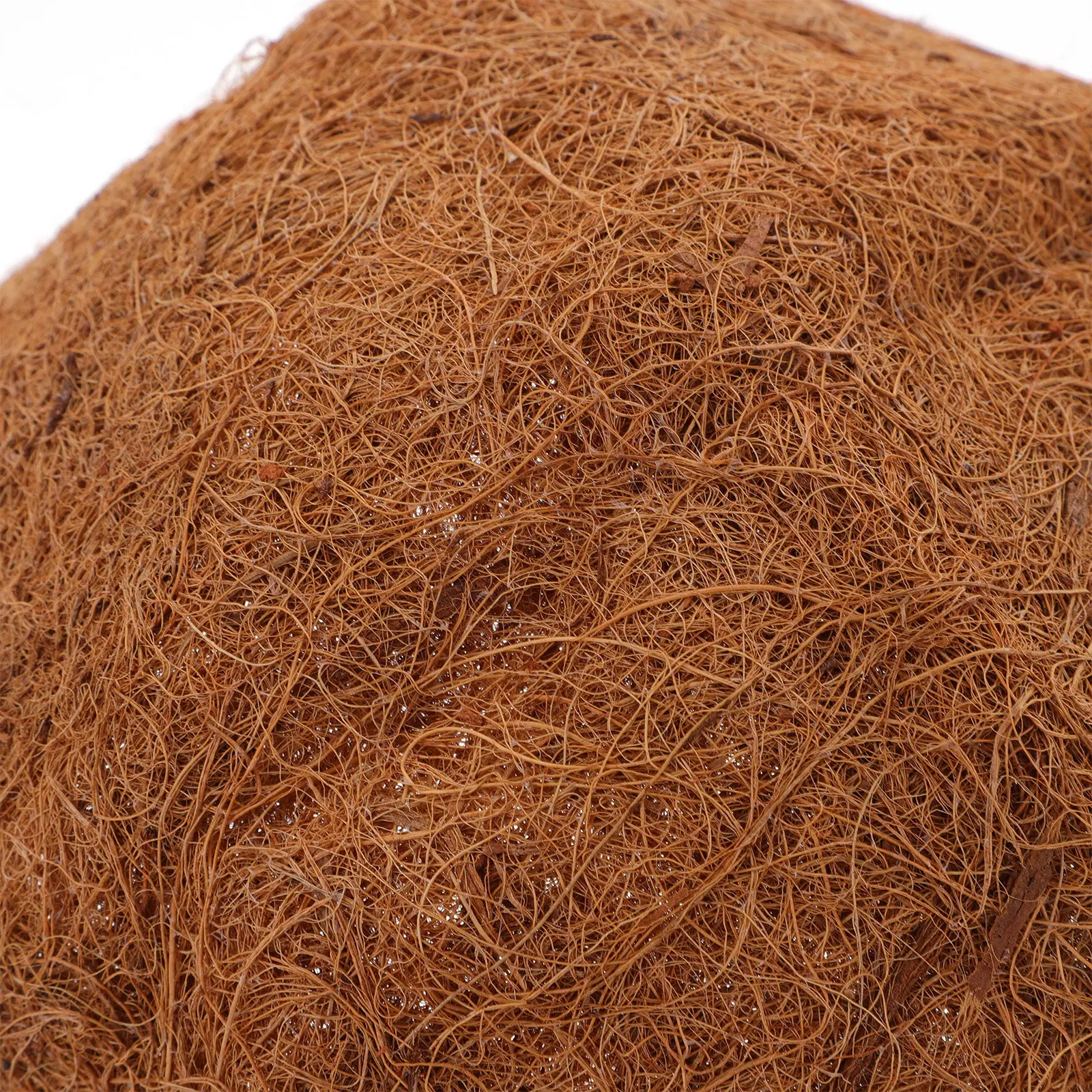 4Pcs Coir Liner for Hanging Ba - огляд і ціна Spider Plant Hanging