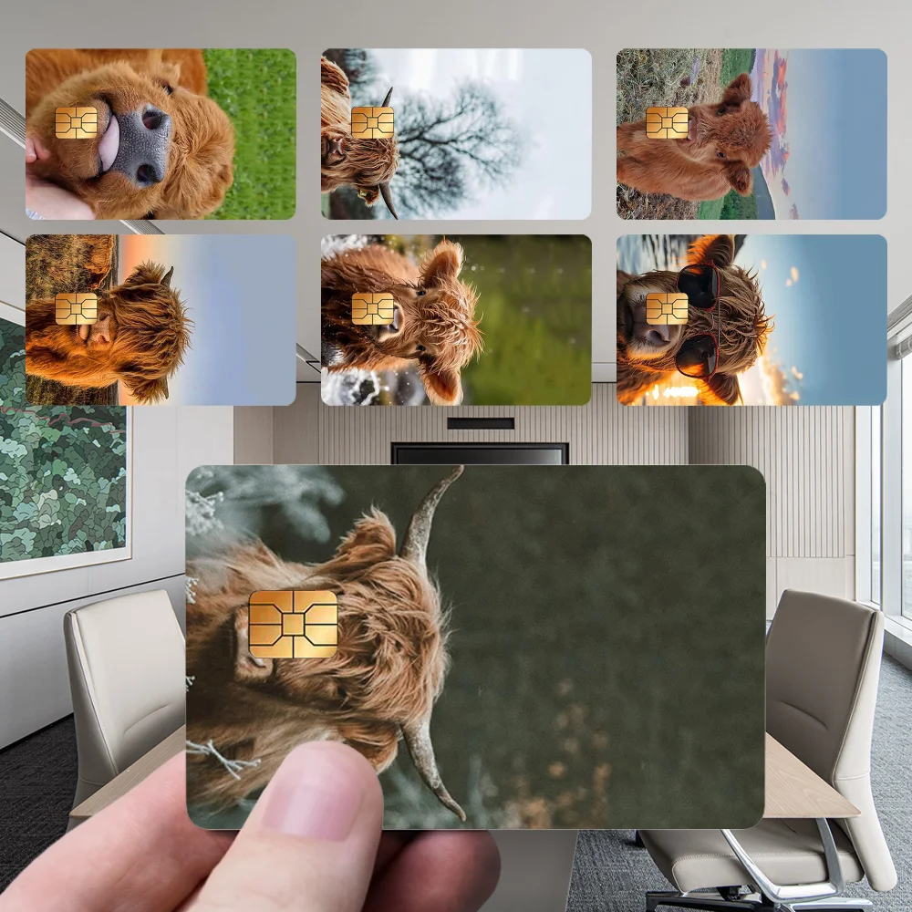 

Cute H-Highland Cow Stickers New Cartoon Card Debit Bank Charge Card Bus Metro Waterproof Sticker Decal Decoration