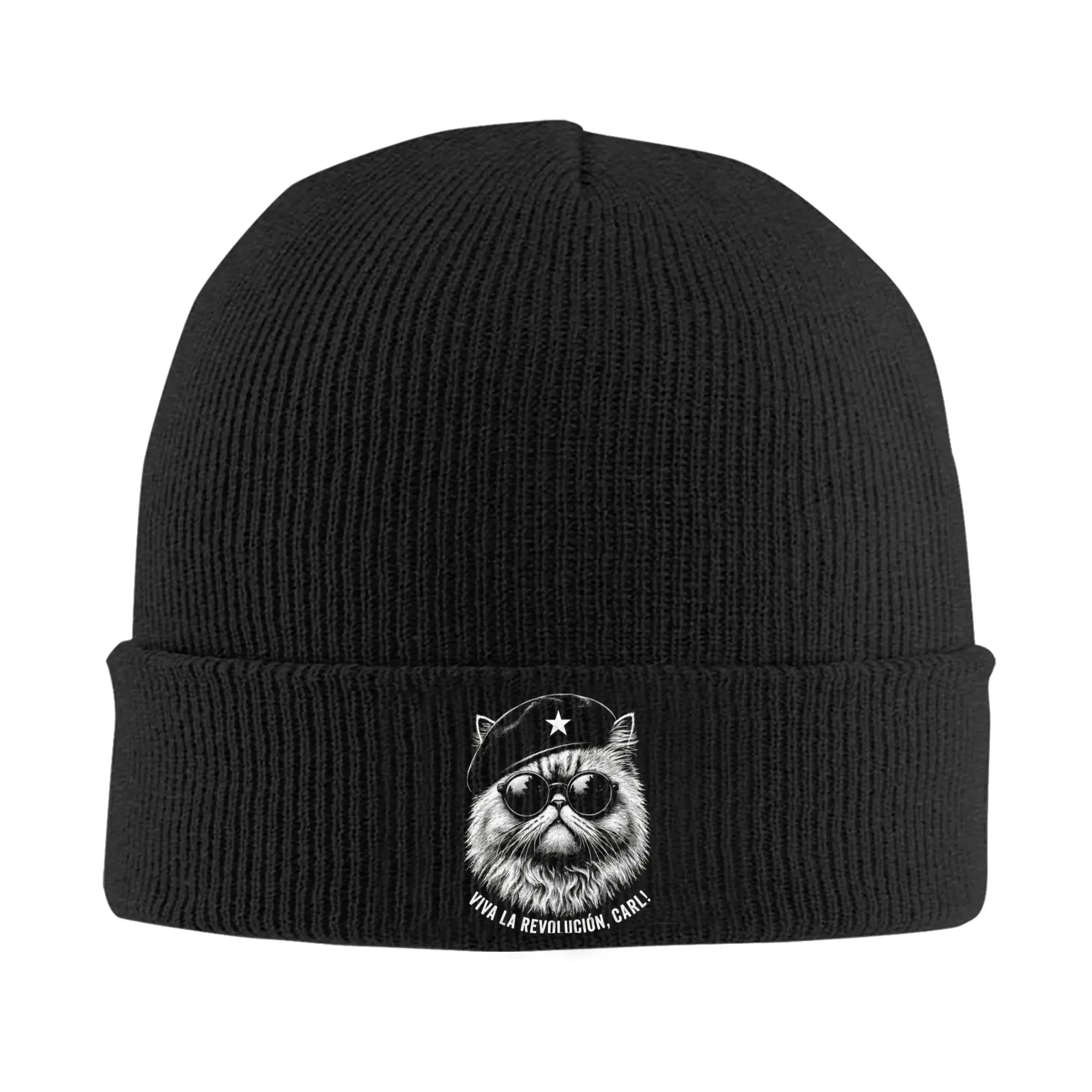 Viva La Revolucion Carl Dungeon Crawler Funny Beanie Hats Bonnet Hats Unisex Adult Retro Outdoor Skullies Beanies Warm Soft Caps