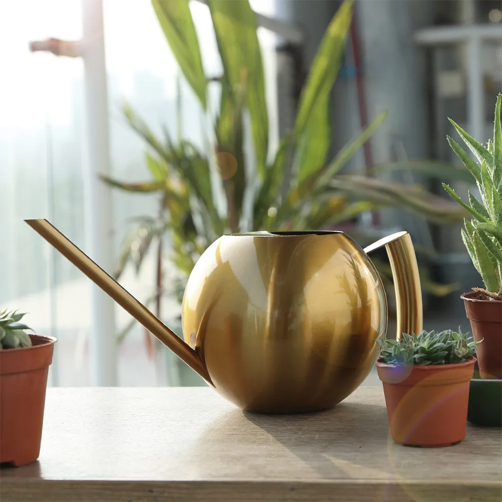 1000Ml Premium Solid Stainless Steel Watering Kettle Ball Shape Long Spout for Indoor Outdoor Plants Succulent Gardening Tool