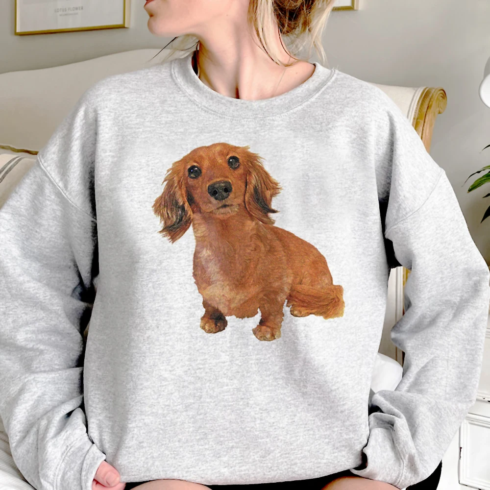 

Dachshund hoodies women streetwear 2023 90s graphic Pullover pulls women streetwear pulls