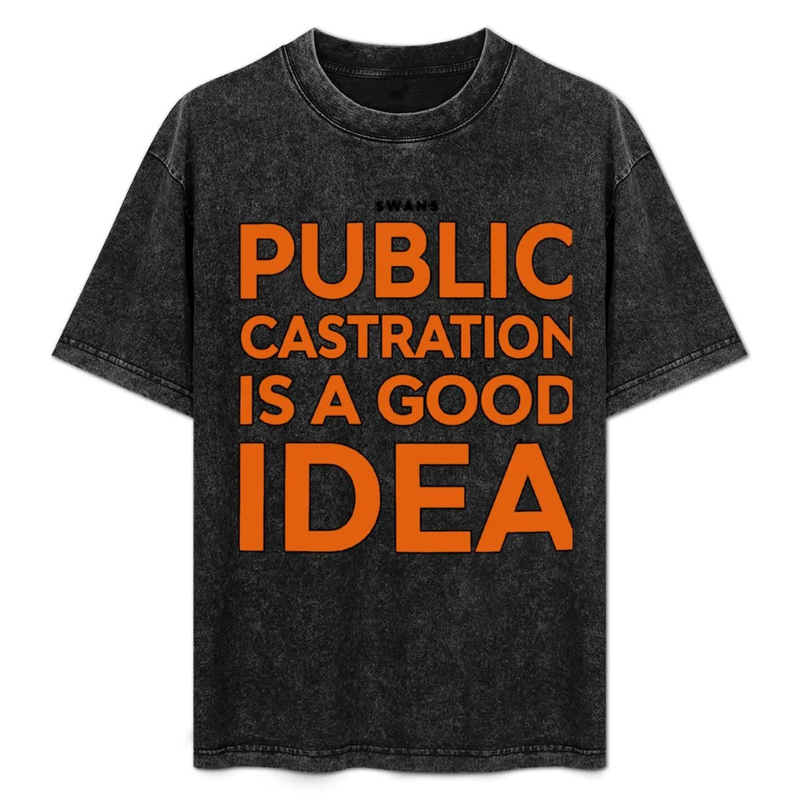 

Swans Public Castration Is A Good Idea Best Gift Tee T-Shirt tees shirts graphic tee mens clothing