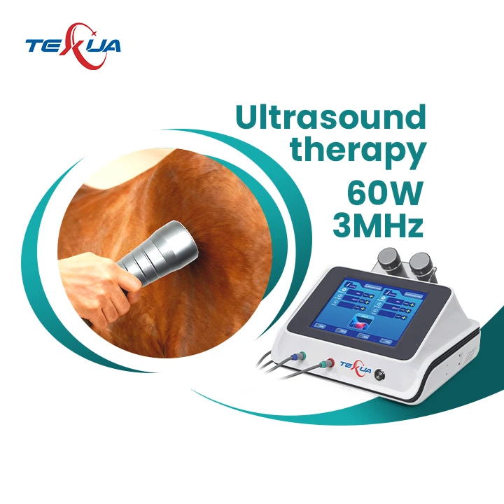 

Horse Dog Medical Physiotherapy Ultrasonic Therapy Instrument Pain Relief Ultrawave Machine CE Certified Class II Equipment