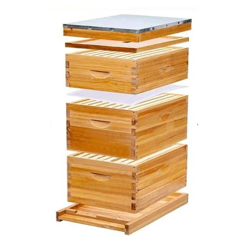 BAQIAN Beehive Beekeeping Equipment Wholesale Complete Langstroth Hive 10 Frame Bee Hive Beeswax Coated Beehives