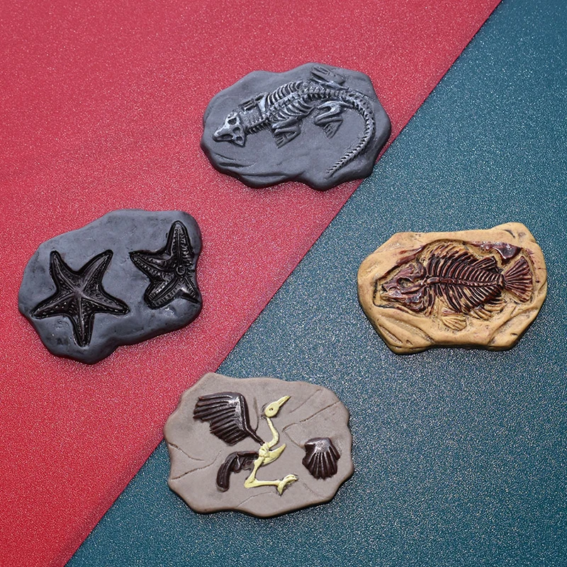 4Pcs/Set Mini Resin Dinosaur Bird Fish Starfish Fossil Fridge Magnets Strong Magnetic for Photo Message Map Refrigerator Decor