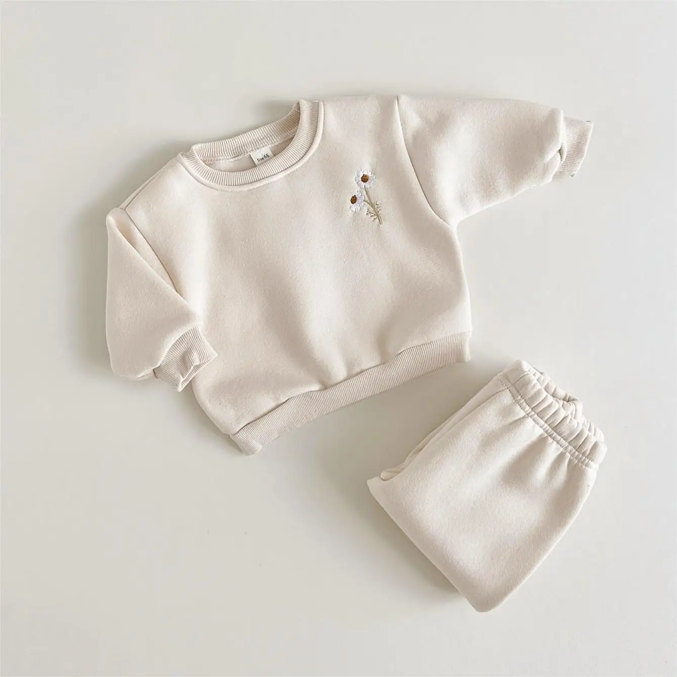 Winter Baby Girls Boys Clothes Thick Plush Minimalist Style Flowers Embroidery  Warm 2PCS Sweatshirt + Pant Kids Tracksuit