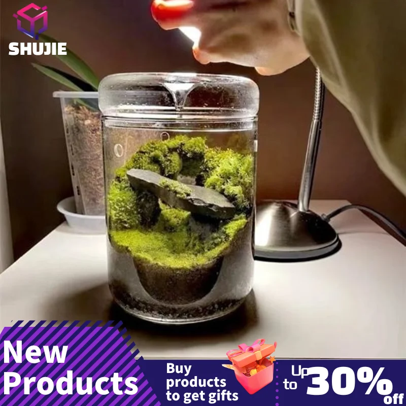 Micro Landscape Glass Bottles Creativity Dew Collection Glass Vase Succulent Moss Landscape Glass Terrarium Home Decor