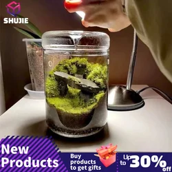 Micro Landscape Glass Bottles Creativity Dew Collection Glass Vase Succulent Moss Landscape Glass Terrarium Home Decor