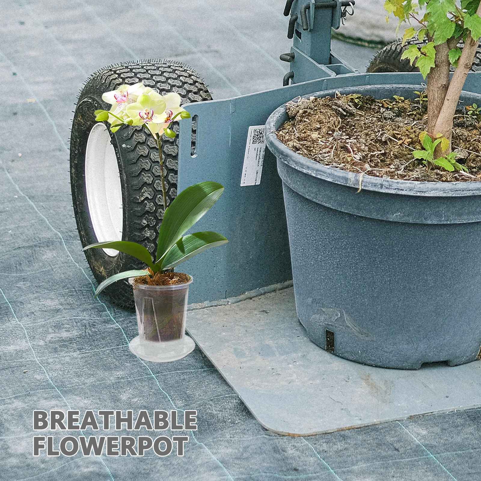 

4 set Orchid Pots Clear Plastic Planters Transparent Bonsai Containers Drainage Holes Trays Slotted Air Column for Phalaenopsis