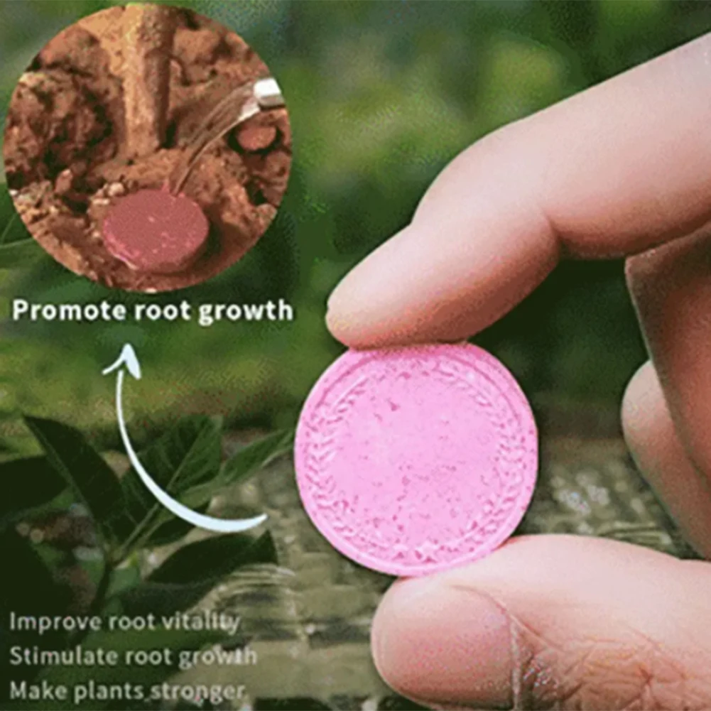 Household Gardening Organic Fertilizer Potted Succulent Organic Fertilizer Nutrient Slow Release for Foliage Plants Fruit Grow