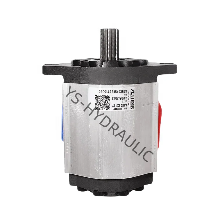 

Итальянский винтовой насос G55C075FSBT15OED, пресс для литья под давлением, сервомасляный насос, гарантия один год