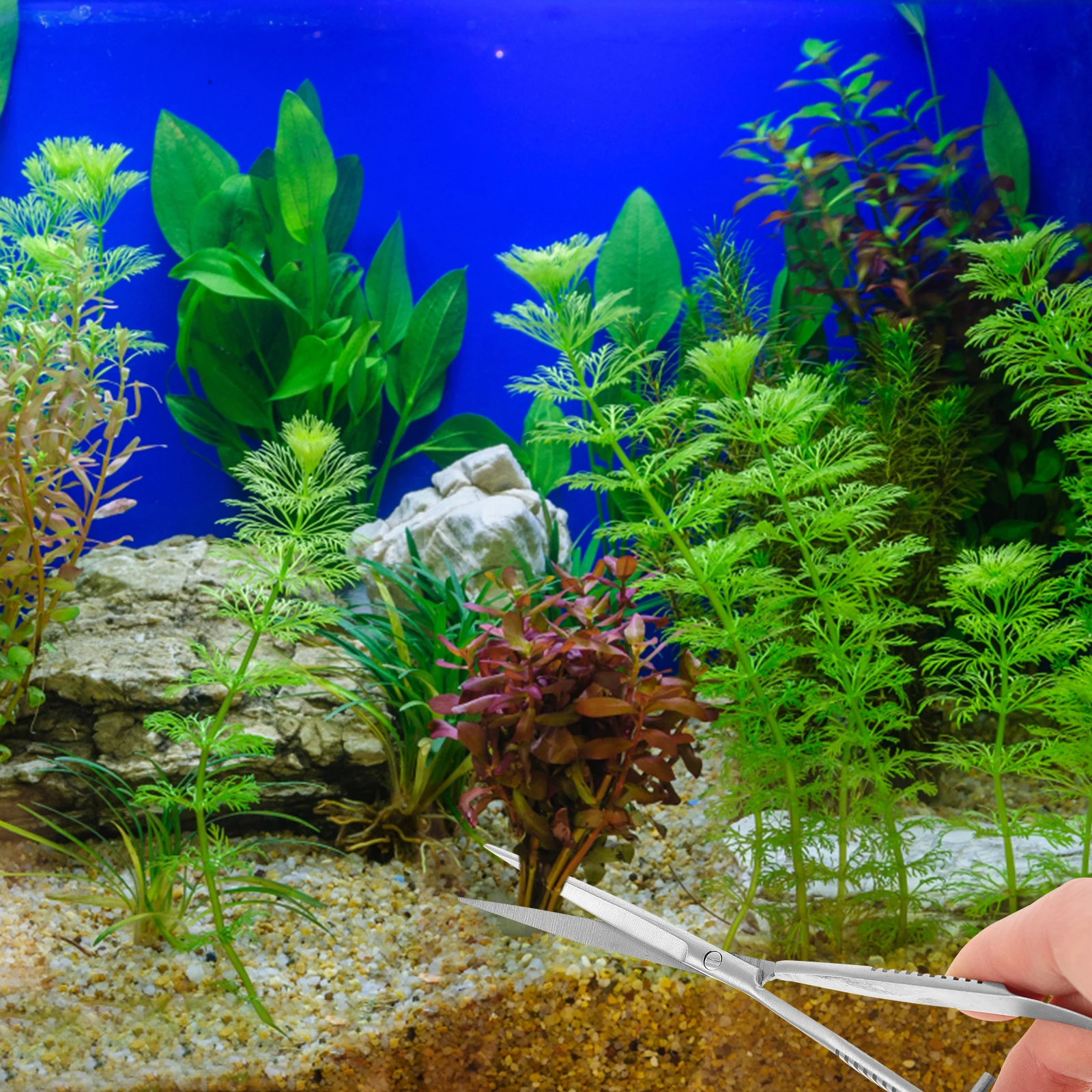 

Spring Scissors Aquarium Stainless Spring Scissor Accessory Curved Trimming Tools Portable Clipper Aqua Plant Fish Tank