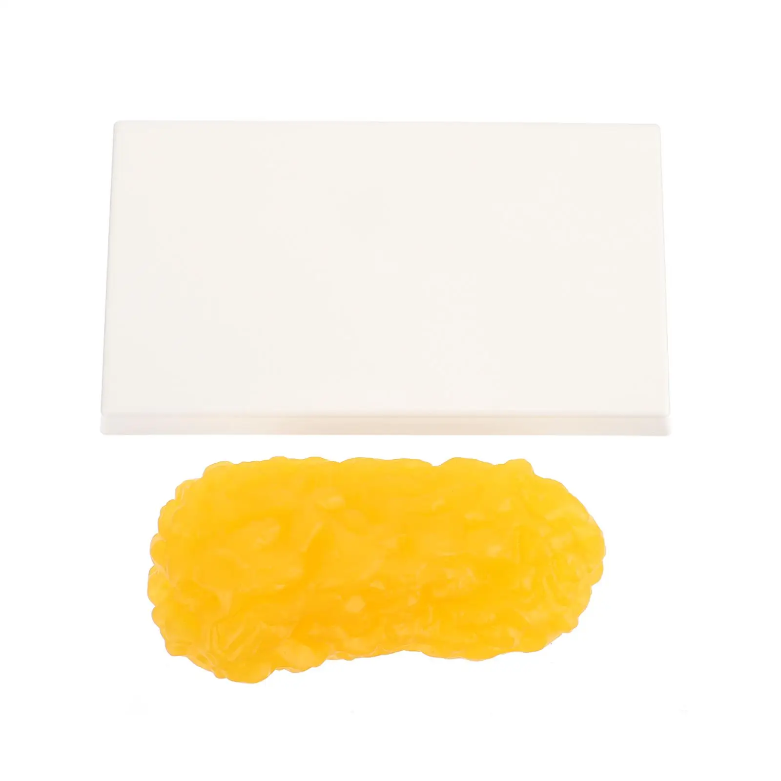 

1 Pound Fat Model Anatomical Replica Demonstration Device Plastic Teaching Tool Nutritionist Prop Human Study
