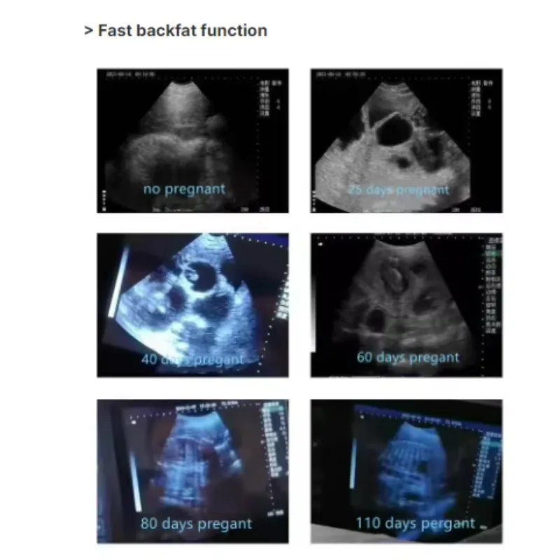 Veterinary Handheld Wireless Ultrasound Scanner for Animal Clinic Use Portable with Diagnosis & Injection Features
