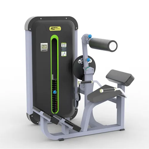 ASJ-ZM031 Commercial Abdominal/back Extension Machine Lower Back Massage Abdominal Crunch