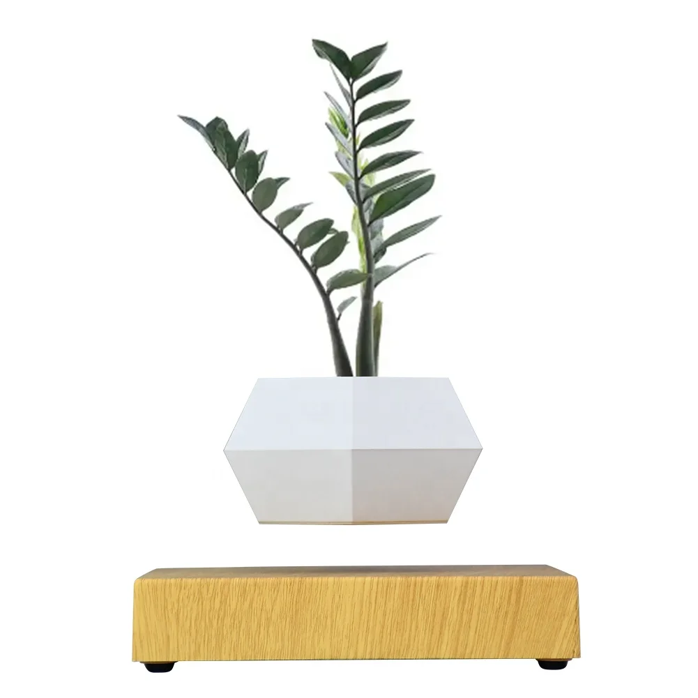 

Magnetic Levitating Bonsai Floating Plant Magnetic Levitation Plants Levitating Flower Pot for Home Office Decoration