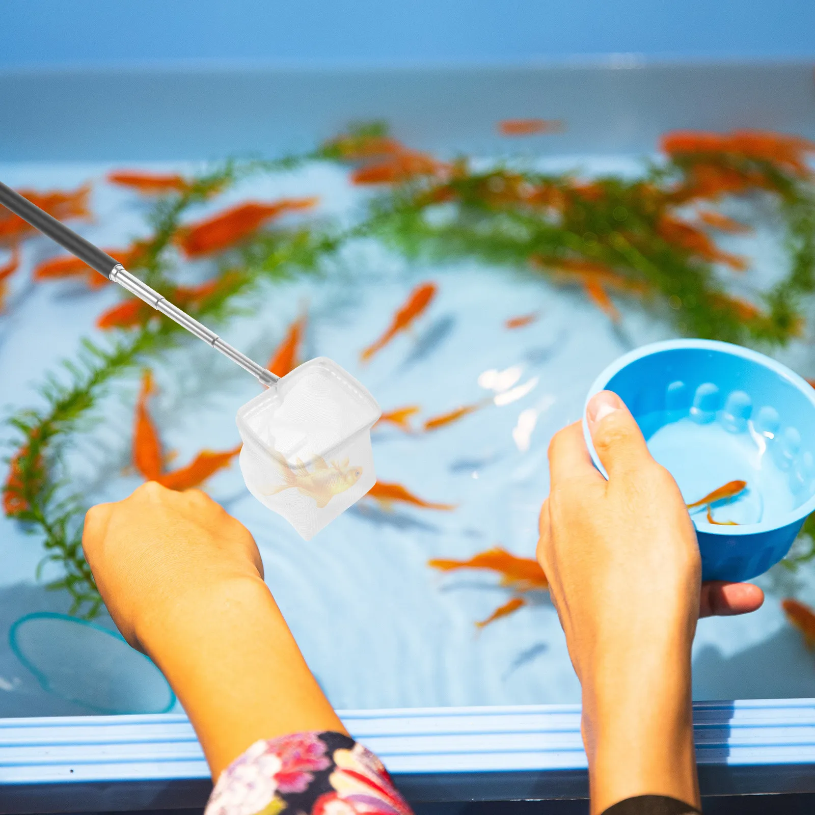 Fish Tank Shrimp Net Extendabl - Aquarium Fish Tank 评论和价格
