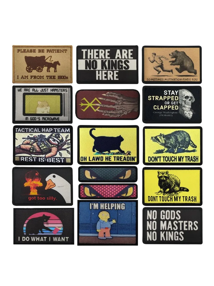 Oie idiot GOT TOO SILLY DON'TOUCH MY TRASH Animal Serpent yeux raton laveur ours autocollant magique sac à dos tactique moral Badge patch