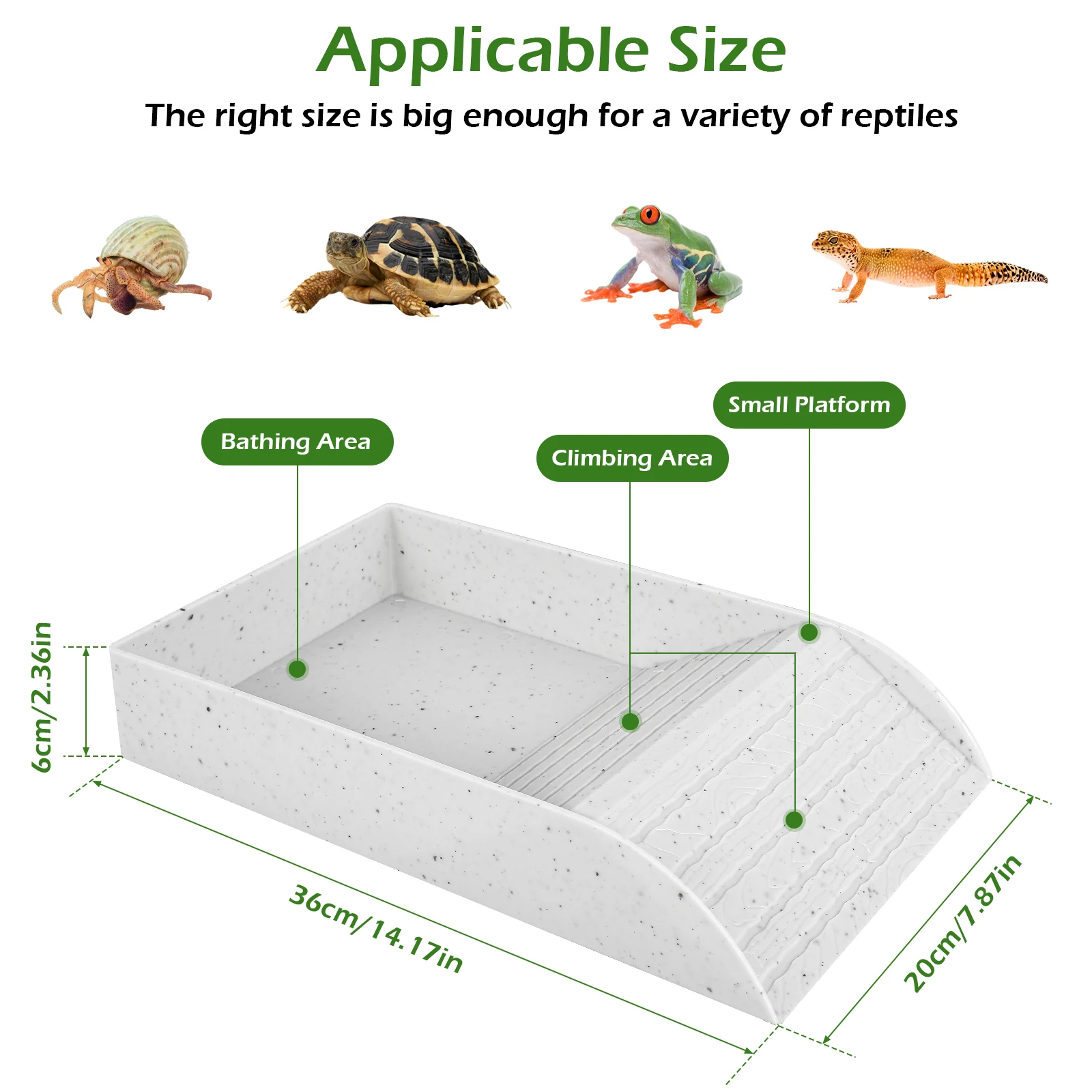 Tortoise Food Dish with Anti-Slip Ramp Reptile Water Food Bowls Reusable Tortoise Feeder and Turtle Reptile Pool Tortoise Habit