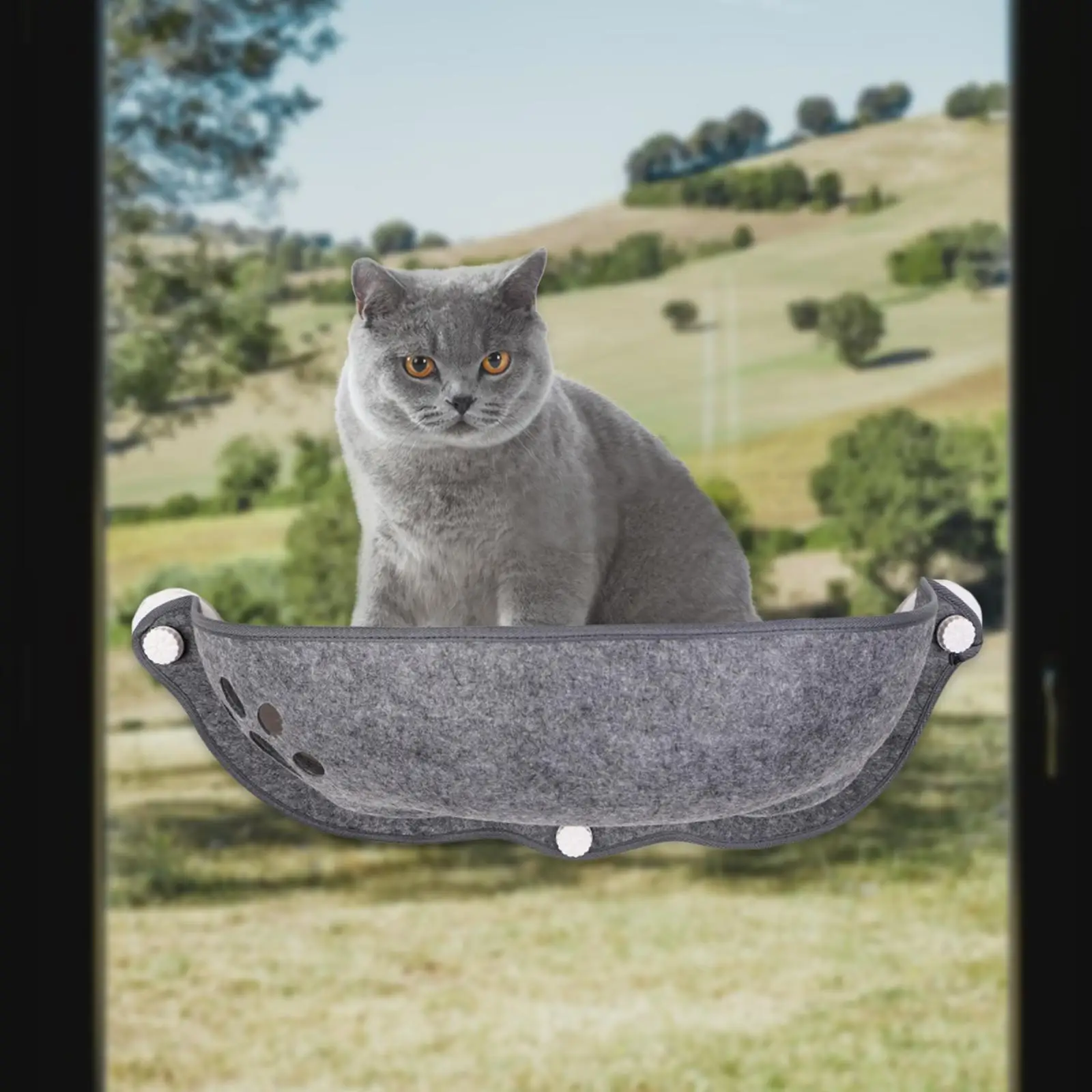 Pet Cat Hammock Window Mounted Cars Bed Suction Cup Pet Rest Seat Bed