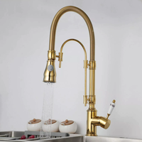 Gold Pull Down Kitchen Faucet Brass Hot and Cold Sink Faucet Pull Out Sink Faucet Spring Spout Mixers Tap Water Crane