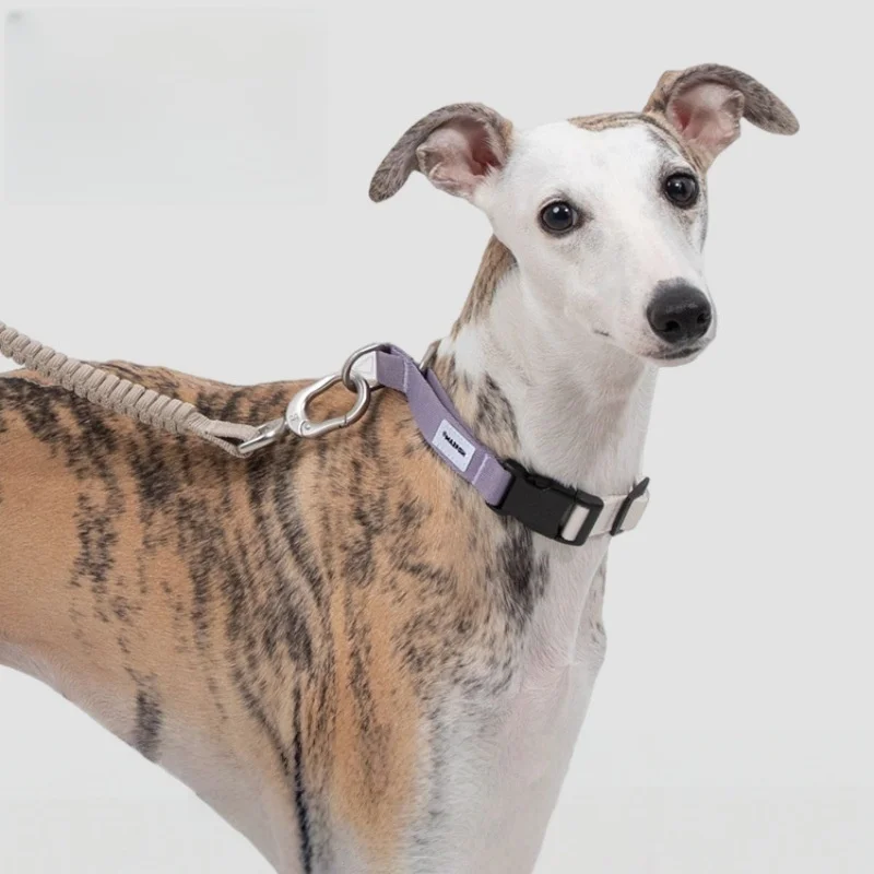 

Adjustable Pet Collars Nylon Collar for Whippet Strong Durable Neck Suitable For Small And Medium Italian Greyhound Dogs