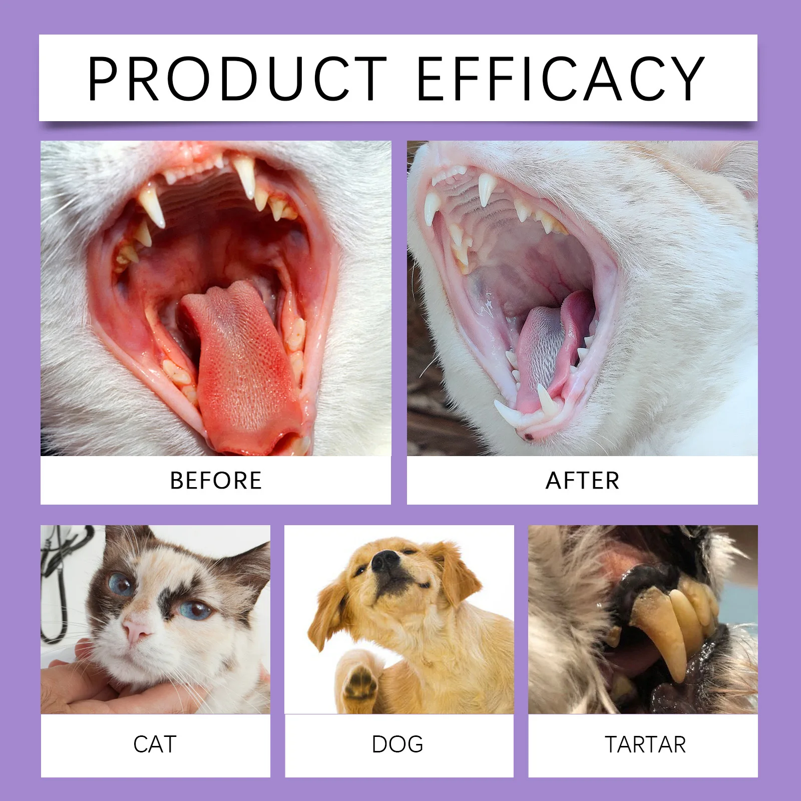 Pet Oral Cleaning Spray 50ml D - Pet Supplies Warehouse review and price