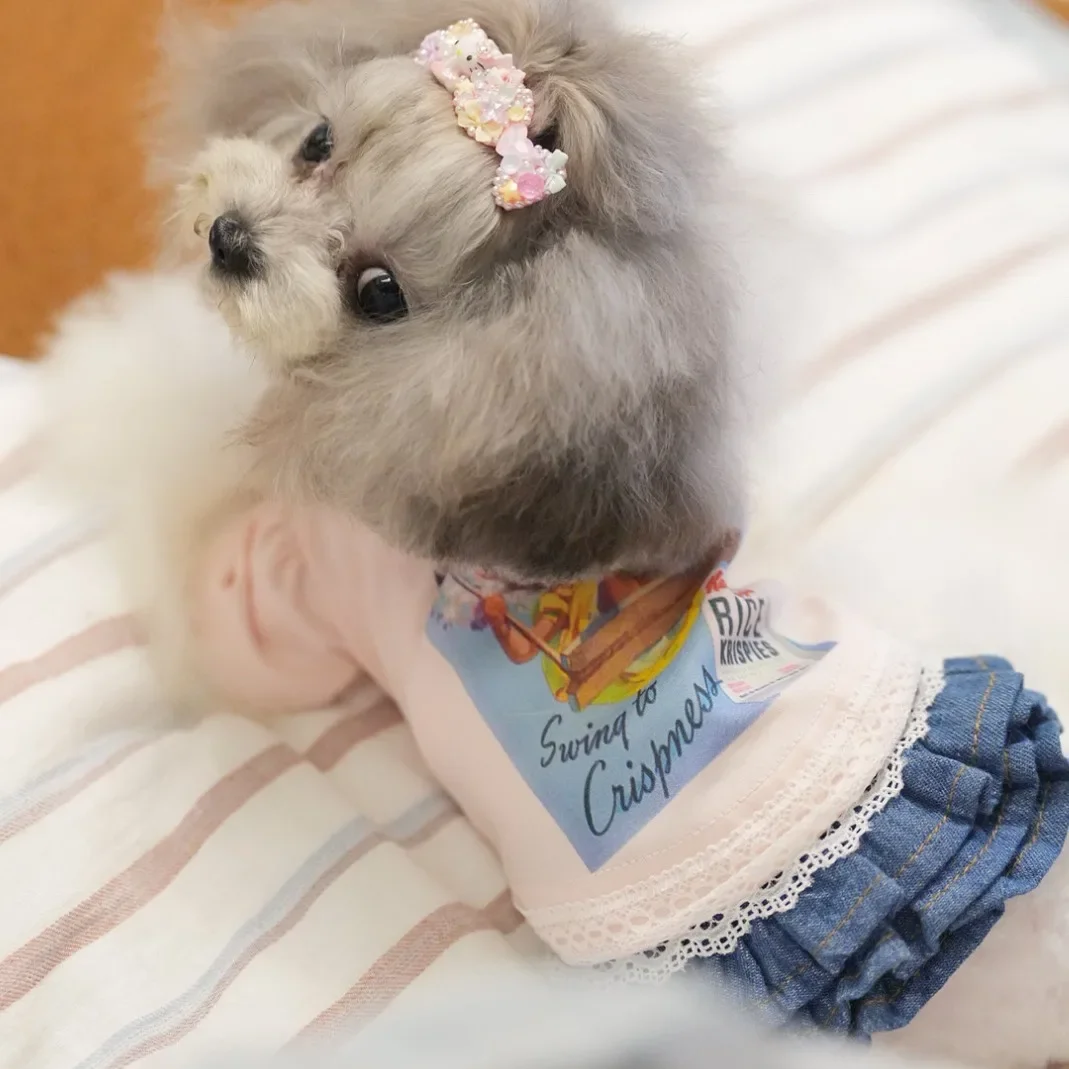 Pet Pure Mesh Base Denim Skirt Jeans Autumn and Winter Dog Parkas Coat Inner Outfit Teddy Pomeranian Small Dog Puppy Clothes