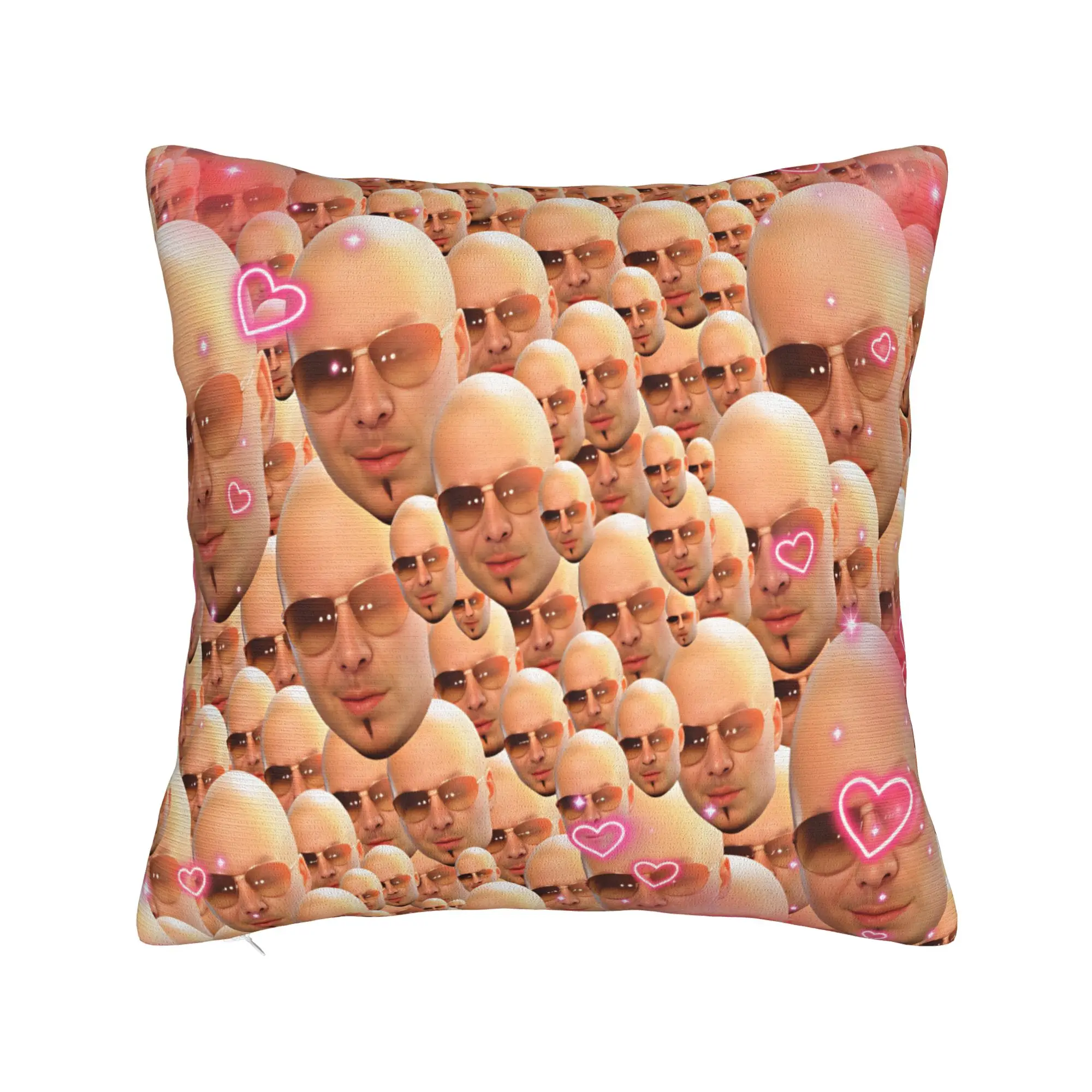 Pillow Cover Pitbull Mr Worldwide Tour  Vintage Pillow Case For Living Room Chair Pillowcases
